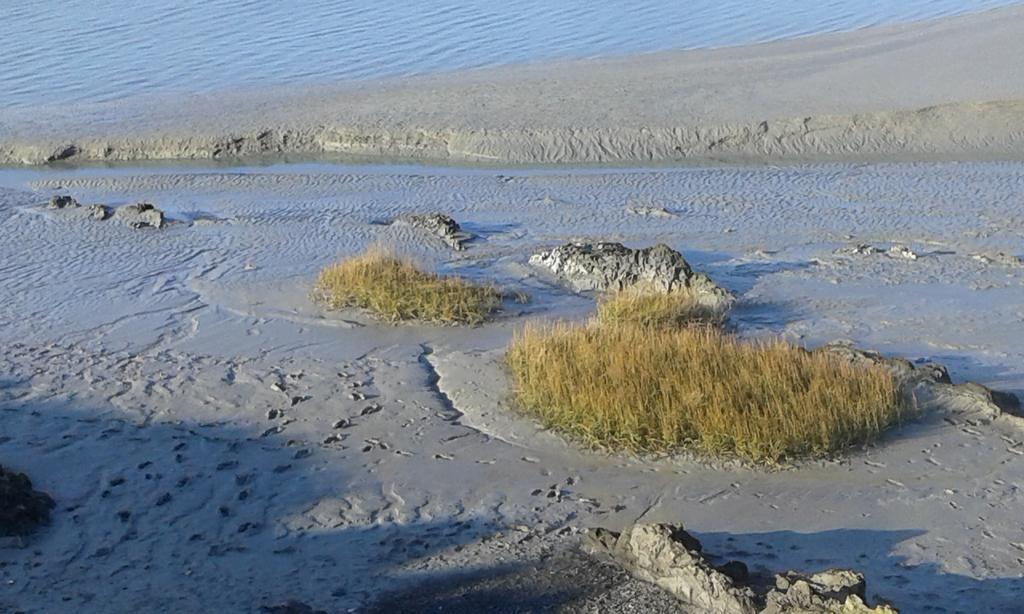 Les Hirondelles De La Baie Villa Vains Exteriör bild